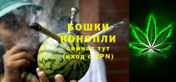 шишки Переславль-Залесский