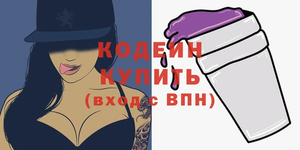 шишки Переславль-Залесский