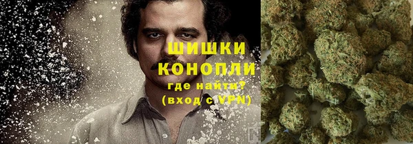 шишки Переславль-Залесский
