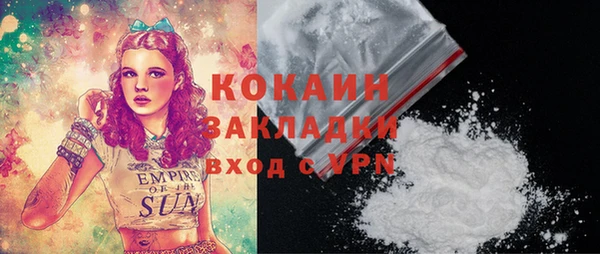 тгк Пестово
