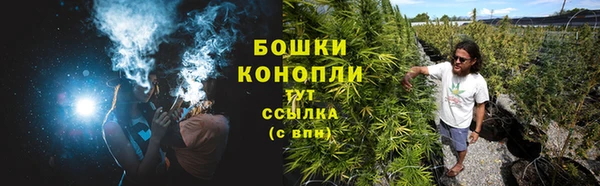 тгк Пестово