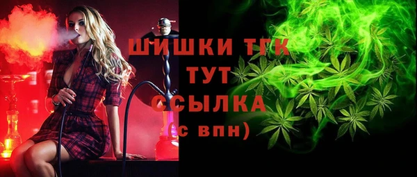 spice Абаза