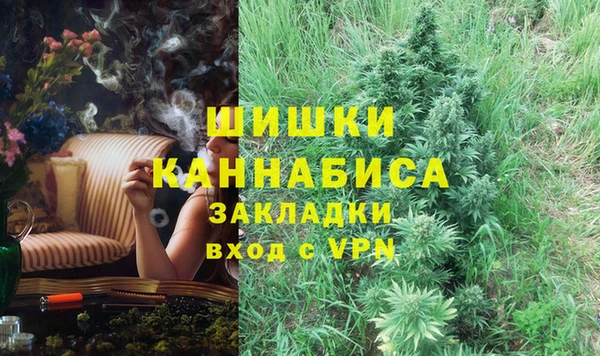 молекула духа Пересвет