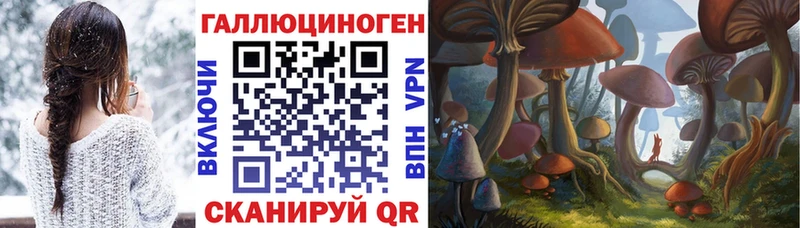 сколько стоит  мега ссылка  Галлюциногенные грибы ЛСД  Каменск-Шахтинский 